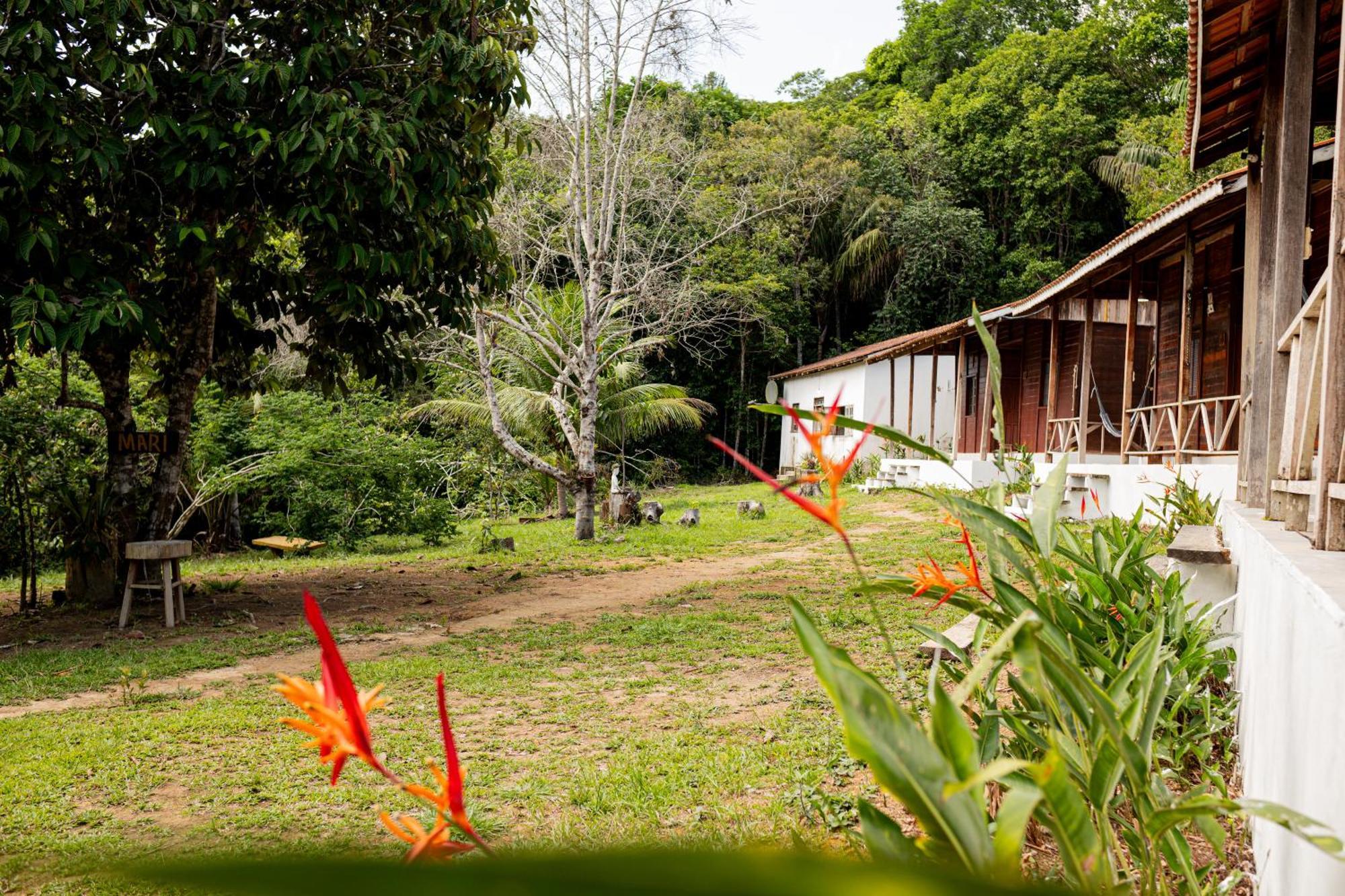Refugio Mari Mari Lodge 菲格雷多总统镇 外观 照片