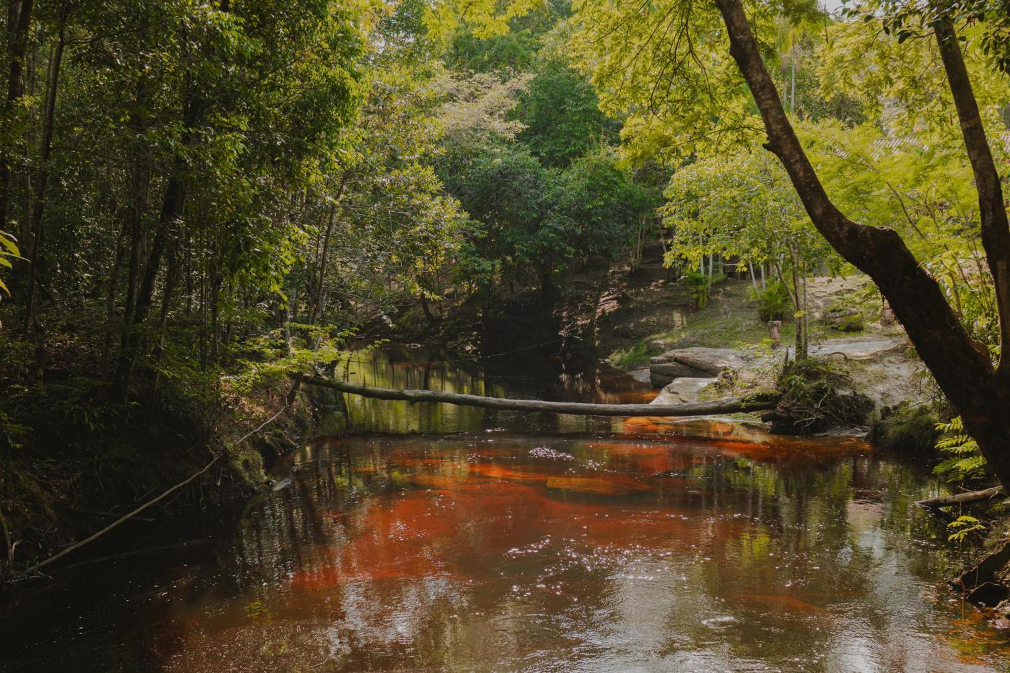 Refugio Mari Mari Lodge 菲格雷多总统镇 外观 照片
