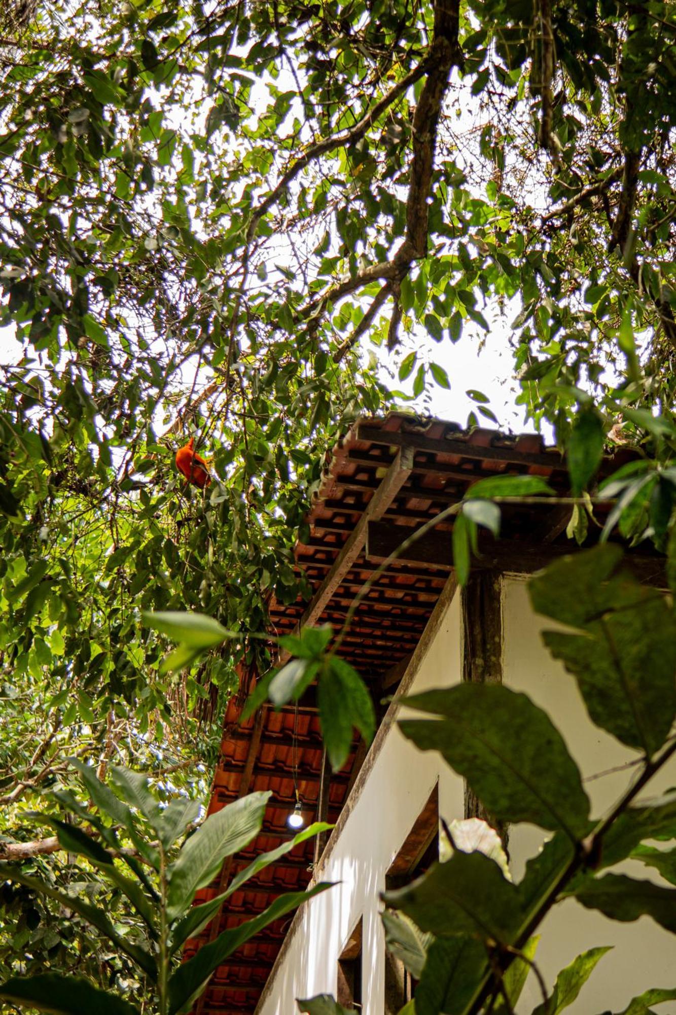 Refugio Mari Mari Lodge 菲格雷多总统镇 外观 照片